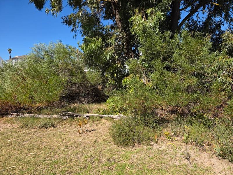 3 Bedroom Property for Sale in Shelley Point Western Cape